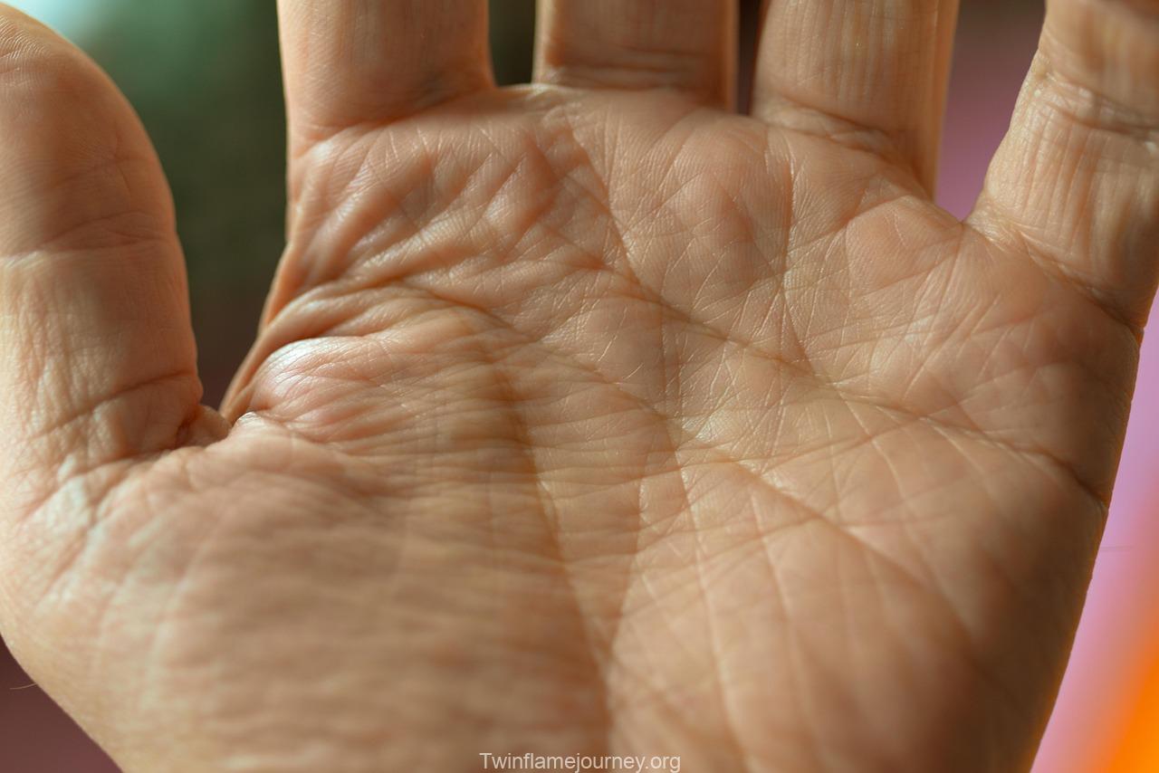 palm, life line, hand, palm reading, human, feel, skin color, palm plate, palm reading, palm reading, palm reading, palm reading, palm reading