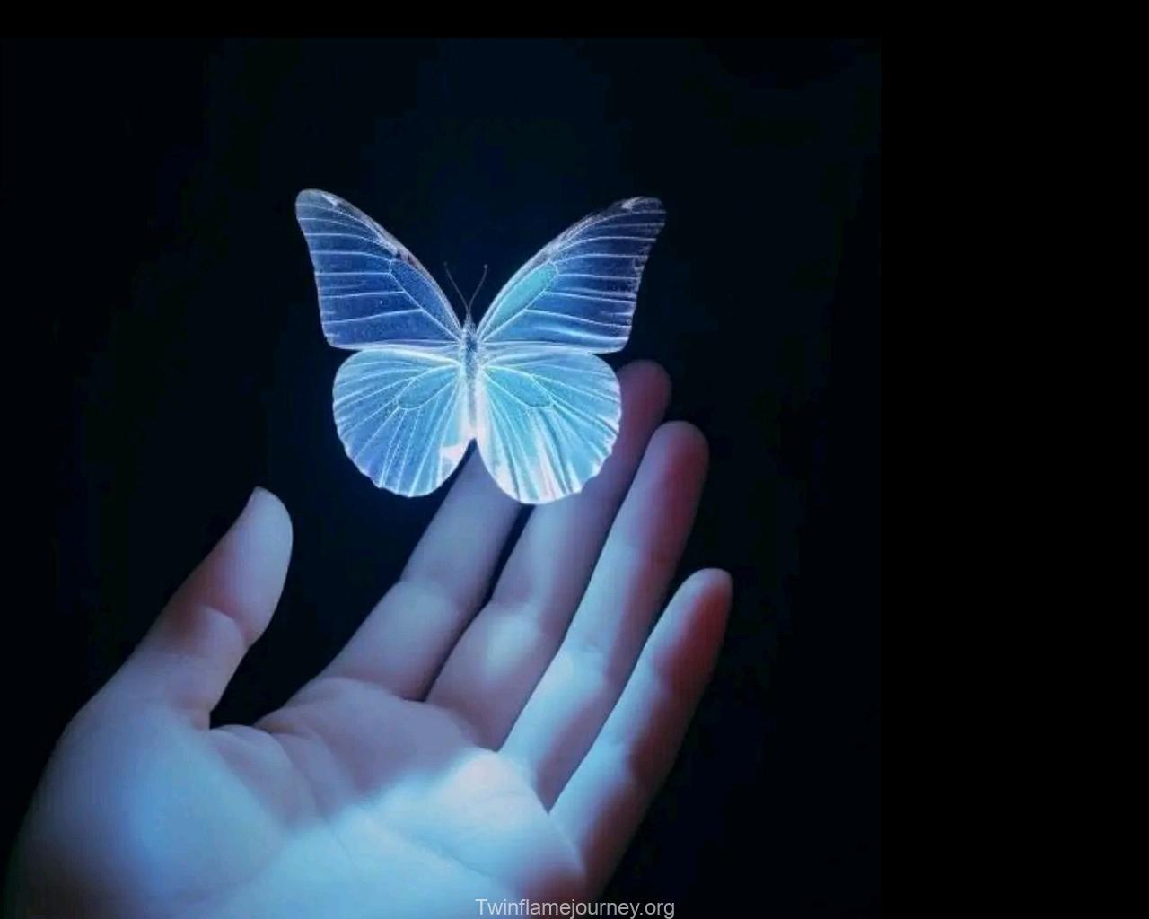 10 Best Twin Flame Reading Sites: Find Your Perfect Match Online