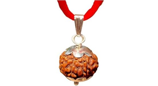 9 Mukhi Rudraksha Bead