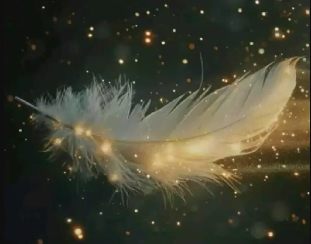 Twin Flame Sign - Feather